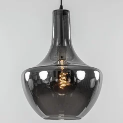 Hanglamp zwart met smoke glazen kap><noscript><img width=