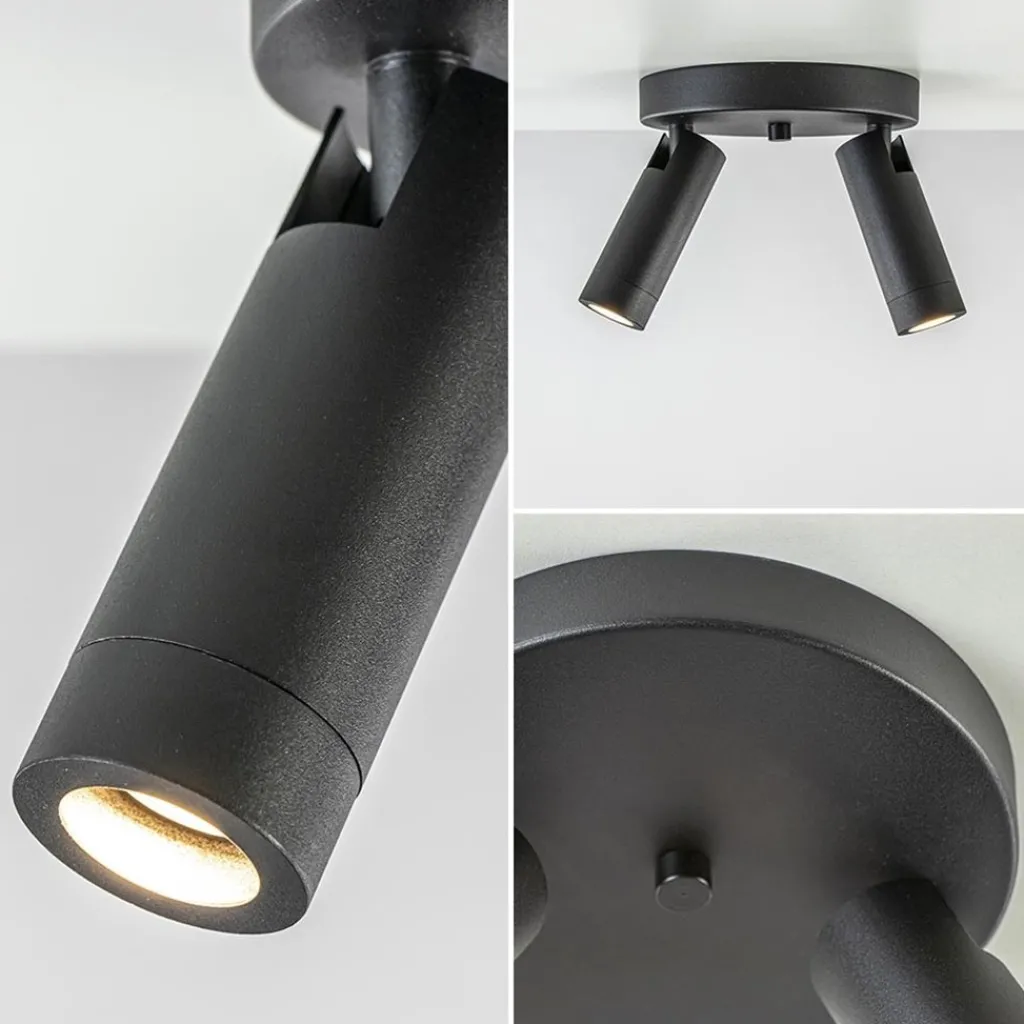 2-Lichts plafondspot mat zwart met gouden accent>Straluma Online
