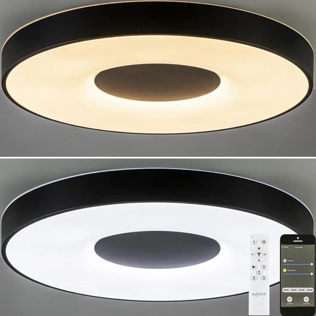 Plafondlamp Coin 65 zwart + remote>Straluma Sale