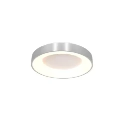 Plafondlamp Ringlede 30cm rvs led>Straluma Best