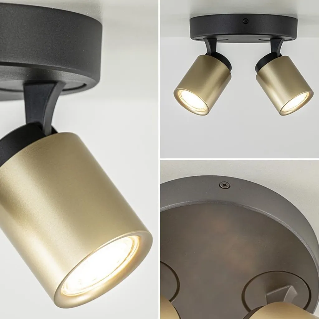 Plafondspot Razza 2L rond zwart/goud>Straluma Online
