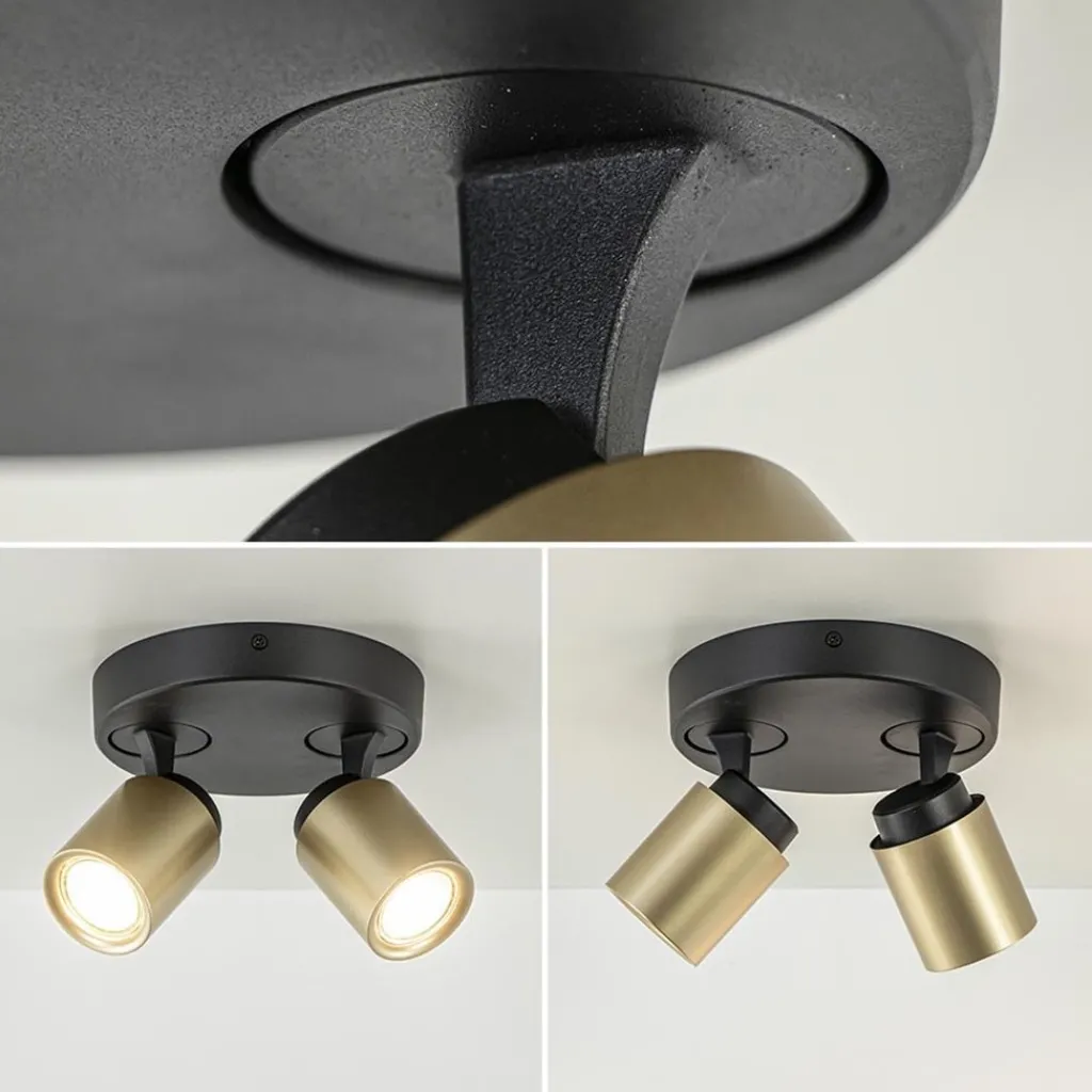Plafondspot Razza 2L rond zwart/goud>Straluma Online