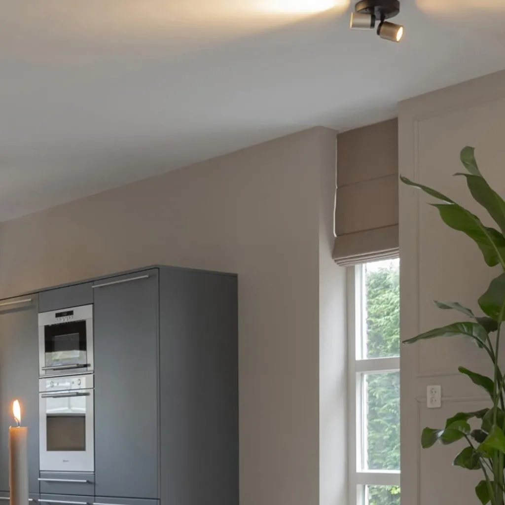 Plafondspot Razza 2L rond zwart/goud>Straluma Online