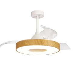 Ventilator Coin hout remote cct>Straluma Store